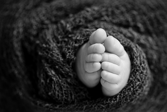 Macon newborn photographer